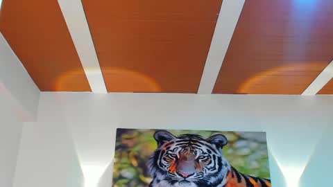 DANTE online show from 03-06-25, 02:51