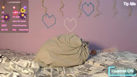 dante_bear online show from 02-13-26, 11:17