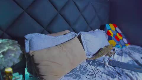 Dany online show from 01-17-26, 06:11