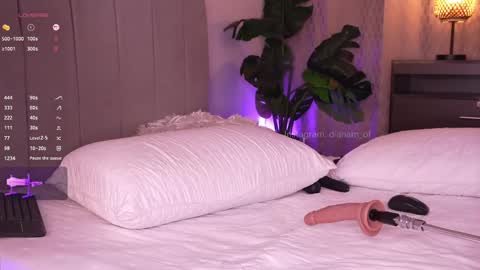 Diana IG dianysexy1 online show from 04-05-26, 03:58