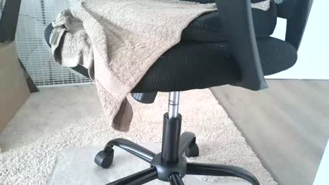 Snapshot of dapppper chatting on 06-13-26, 12:14 dapppper online show from 06-13-26, 12:14