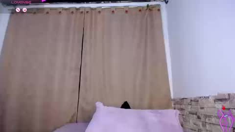 DARA online show from 03-11-26, 11:00