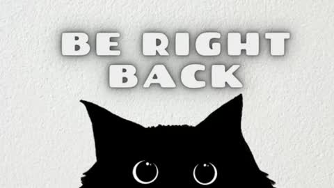 darienlarge online show from 01-10-26, 09:33