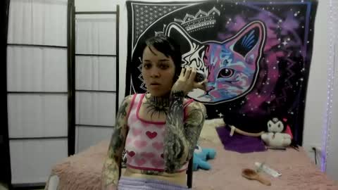 daryimiau online show from 04-11-26, 11:09