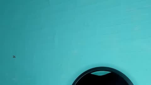 Dafne online show from 03-06-25, 08:48