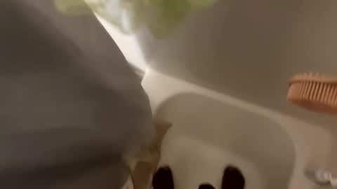 dasquirtmaster online show from 03-29-26, 10:43