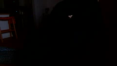 datyo1234 online show from 03-17-26, 05:22