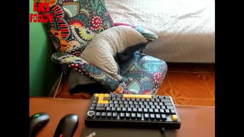 David online show from 03-21-26, 07:17