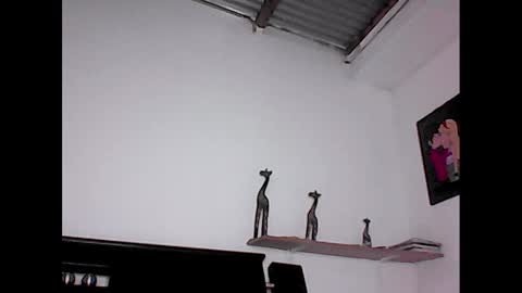 Snapshot of david_stuart07 chatting on 01-23-25, 07:07 davidstuart online show from 01-23-25, 07:07