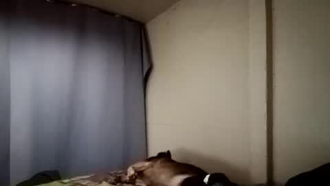 Snapshot of davidjose1995 chatting on 12-11-24, 04:18 Juice cock online show from 12-11-24, 04:18