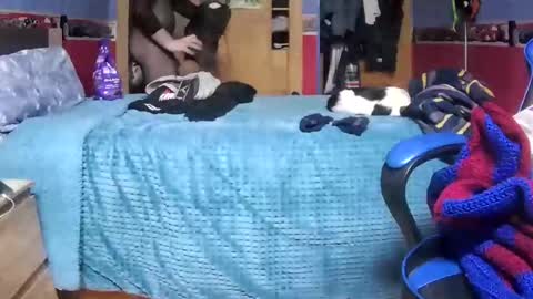 Snapshot of davidlg00 chatting on 01-26-25, 10:35 Hugo online show from 01-26-25, 10:35