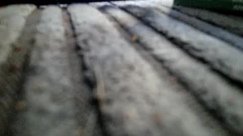 Snapshot of davros8621 chatting on 11-02-25, 01:13 davros8621 online show from 11-02-25, 01:13