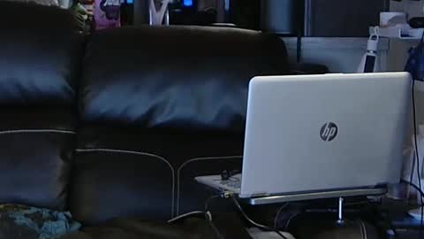 Snapshot of ddboobman chatting on 02-06-25, 11:48 want girl to play with me online show from 02-06-25, 11:48