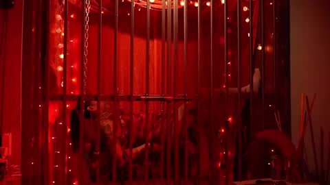 D Devours Kitty online show from 02-15-26, 05:37