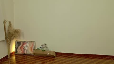 Dean online show from 02-06-26, 08:45