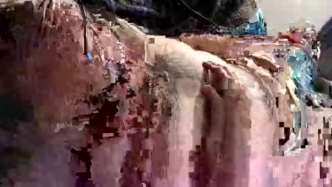 decoyx5o5 online show from 01-09-25, 01:18