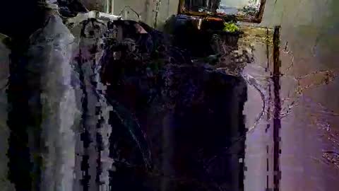 decoyx5o5 online show from 02-06-25, 06:40