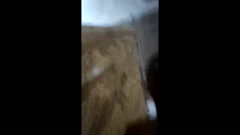 deeek56 online show from 03-24-26, 04:28