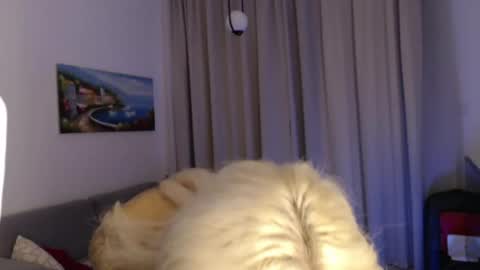 Jenna online show from 07-06-26, 07:16