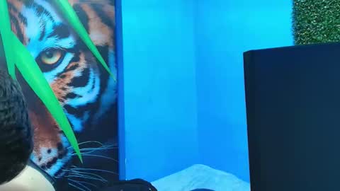 DEIBY online show from 01-31-26, 07:11