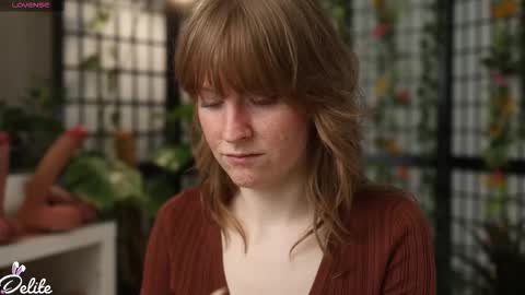 DeLite  Next stream on Wednesday or Thurdsay  online show from 03-05-26, 09:27