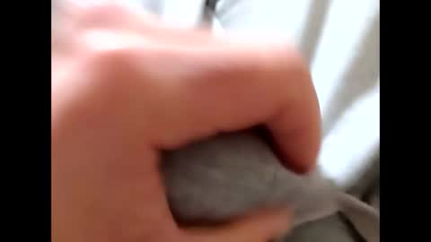 deliv_shopi online show from 01-08-26, 10:39