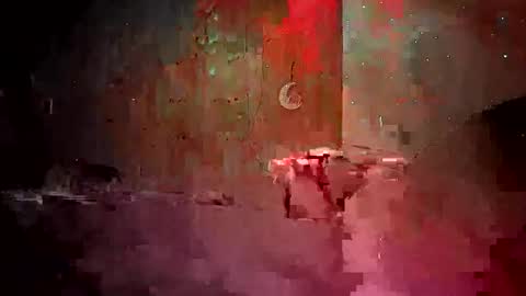 den2807 online show from 04-19-26, 12:11