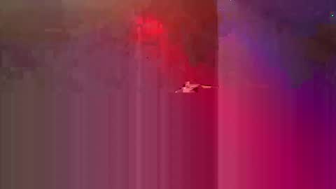 Snapshot of den2807 chatting on 05-03-26, 10:49 den2807 online show from 05-03-26, 10:49