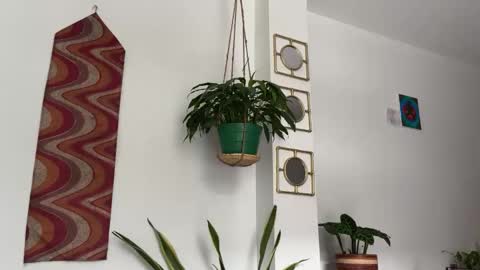 Desidias online show from 10-22-25, 09:03