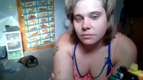 devykitten online show from 07-02-26, 11:00