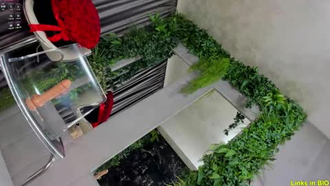 Jo online show from 02-08-25, 03:08