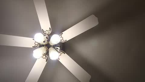 Snapshot of diamonde_steele chatting on 12-12-24, 01:53 diamonde_steele online show from 12-12-24, 01:53