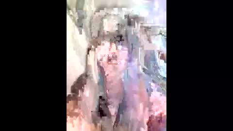 diana0108 online show from 11-29-25, 11:57