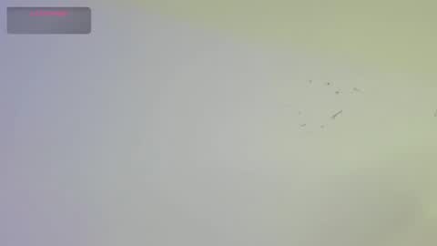 Dick Griffith online show from 10-17-25, 02:19