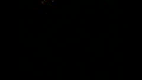 dickink13 online show from 11-04-25, 04:44