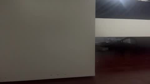 Snapshot of dickmanthe1 chatting on 01-13-26, 06:57 dickmanthe1 online show from 01-13-26, 06:57