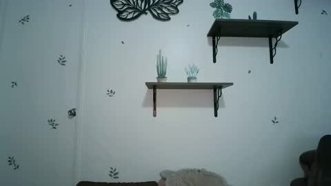 Snapshot of dickslayerdan chatting on 01-25-25, 08:21 dickslayerdan online show from 01-25-25, 08:21