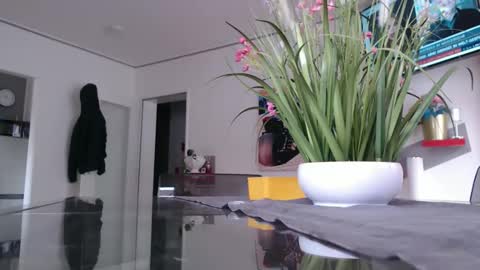 Snapshot of didiegal1 chatting on 02-02-26, 12:48 squirtcock online show from 02-02-26, 12:48