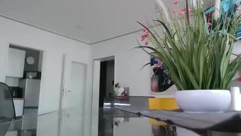 Snapshot of didiegal1 chatting on 02-16-26, 09:38 squirtcock online show from 02-16-26, 09:38