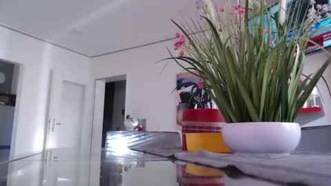 Snapshot of didiegal1 chatting on 03-02-26, 09:16 squirtcock online show from 03-02-26, 09:16