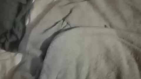 Snapshot of dig_bick_38 chatting on 10-10-25, 04:44 Daddy online show from 10-10-25, 04:44