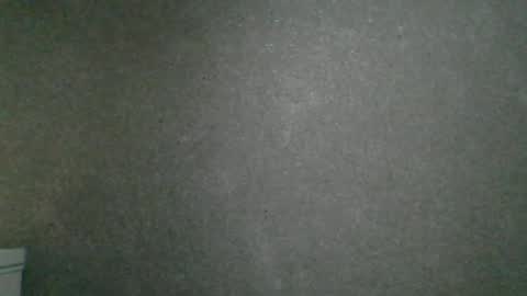 Snapshot of dimasvit5306 chatting on 06-13-26, 07:34 dimasvit5306 online show from 06-13-26, 07:34