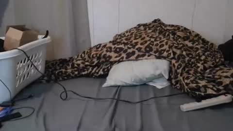 Sofie online show from 01-16-26, 06:28