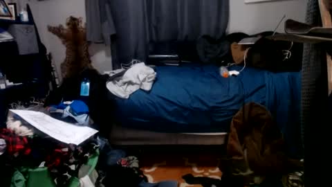 dinodick4uall online show from 01-06-25, 08:03