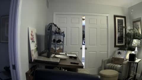 Snapshot of dirkpitt223 chatting on 01-02-25, 03:05 DirtkPitt Fun guy working online show from 01-02-25, 03:05