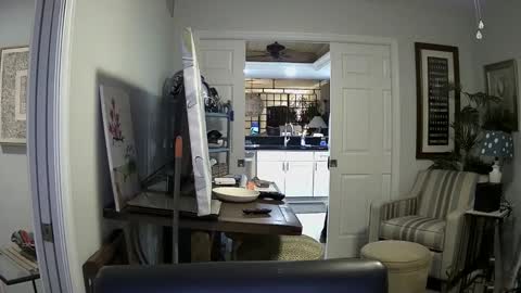 Snapshot of dirkpitt223 chatting on 01-04-25, 02:35 DirtkPitt Fun guy working online show from 01-04-25, 02:35