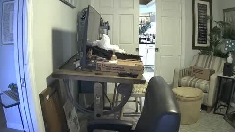 Snapshot of dirkpitt223 chatting on 01-21-25, 07:17 DirtkPitt Fun guy working online show from 01-21-25, 07:17