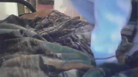 Snapshot of dirtynerdy30 chatting on 01-18-25, 10:17 Dirtynerdy online show from 01-18-25, 10:17