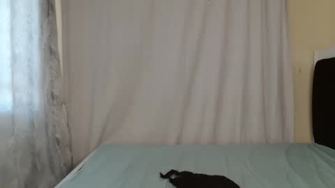 Snapshot of disah_002 chatting on 05-28-26, 11:18 disah_002 online show from 05-28-26, 11:18