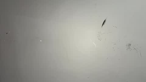 Snapshot of dixkzilla chatting on 02-20-26, 02:52 dixkzilla online show from 02-20-26, 02:52